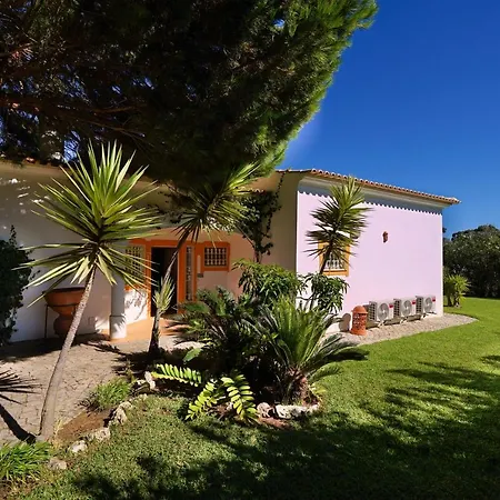 Pinheiro Manso * Albufeira