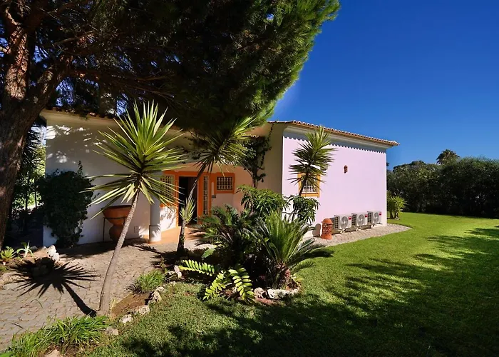 Pinheiro Manso * 阿尔布费拉